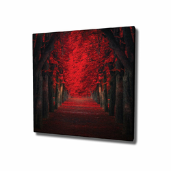 Stenska slika na platnu Red Trees, 45x45 cm
