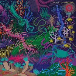 Slow Steve - Adventures (LP)