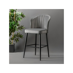 Hanah Home Barska Stolica Set 2 Komada Rubi - Sivo