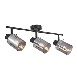 Reflektor SARDO SPL55813BKSG Italux