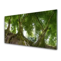tulup.si Slika na steklu Rastlin drevesa narava 120x60 cm 2 obešalnika
