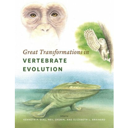 Great Transformations in Vertebrate Evolution