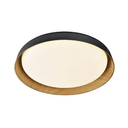 Top Light-LED prigušiva stropna svetiljka SATELLITE LED/36W/230V 3000-6500K crna + daljinski upravljač