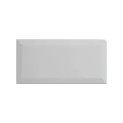 Biselado Gris 10x20 BX