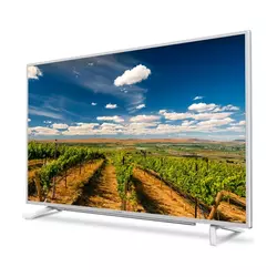GRUNDIG televizor 40 VLE 6735 WP Smart LED Full HD