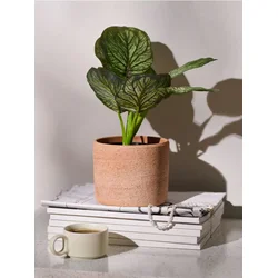 Sinsay - Veštačka dekorativna biljka Alocasia u saksiji - zeleno