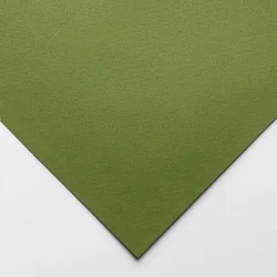 Papir boja B1 160g Tiziano 1/10 MUSCHIO