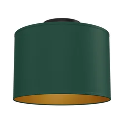 Stropno svetlo ARDEN 1xE27/15W/230V, prečnika 25 cm, zeleno