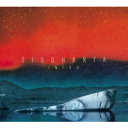 SIDDHARTA-INFRA