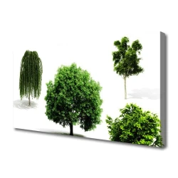tulup.si Slika na platnu Drevesa narava narava 100x50 cm