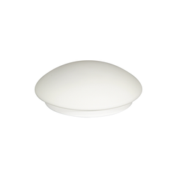 Prezent 1500 - Plafonska svetiljka ASPEN 1xE27/60W/230V IP44