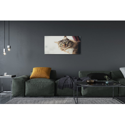 tulup.si Slika na platnu Maine coon cat 100x50 cm