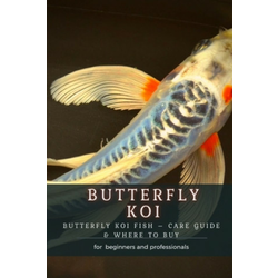 Butterfly Koi
