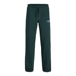 Jack & Jones Junior Hlače JPSTKane jelka