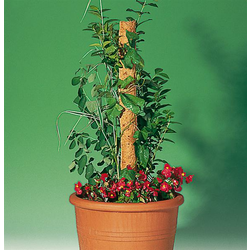 WINDHAGER OPORNIK 80 CM