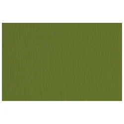 Papir u boji A4 220g Elle Erre Fabriano 42450728 maslinasto zeleni (verdone) pk50