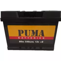 Akumulator 12V-60AH D+ PUMA