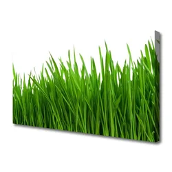 tulup.si Slika na platnu Grass nature rastlin 125x50 cm