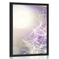 Plakat bližnji pogled na regrat - 20x30 black