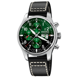 FESTINA SWISS F20150-4