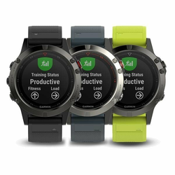 GARMIN športna ura FENIX 5 WHR