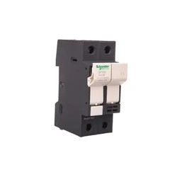 Schneider Varovalčno stikalo DF 2p 32A - dimenzije varovalke 10x38mm DF102
