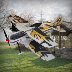 Crack PITTS rumen BACKYARD