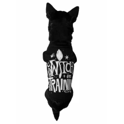 Pasje oblačilo KILLSTAR - Witch In Training - Črna - KSRA004758