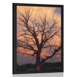 Plakat čudovito drevo na travniku - 60x90 no frame