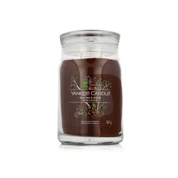 Yankee Candle Praline & Birch