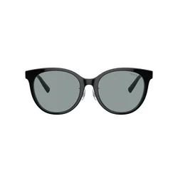 Tiffany Naočare za sunce TF 4209D 8055/1