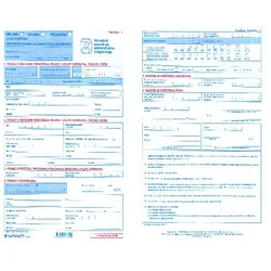 OBRAZAC C-A-100/N TISKANICA 1 (FORMAT A3) FOKUS