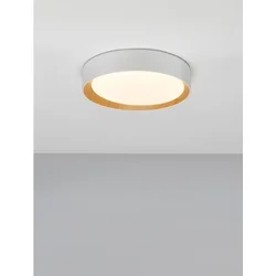 STAKE PLAFONSKA SVJETILJKA LED 30W/3000K/1717lm/DIMM/IP20/BIJELA