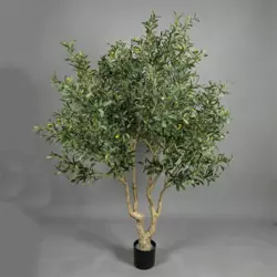 Umetna oljka 240cm Sparta - 211-249 cm
