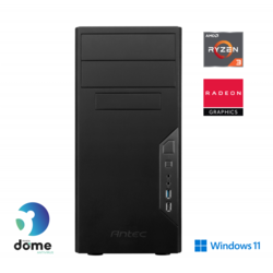 Računalnik ANNI Home Optimal R3-4300G/Radeon/8 GB/500 GB/W11H