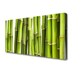 tulup.si Slika na platnu Bamboo rastlin narava 120x60 cm
