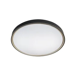 LED prigušiva plafonska svetiljka EBRO LED/36W/230V 2700-6500K + daljinski upravljač