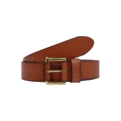 POLO RALPH LAUREN Pas, rjava