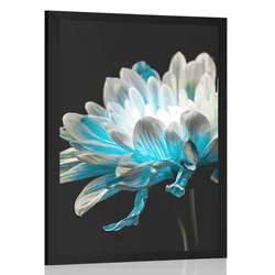Plakat marjetica na črnem ozadju - 40x60 no frame