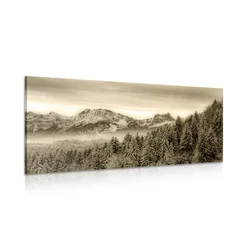 Slika zasnežene gore v sephia izvedbi - 60x30