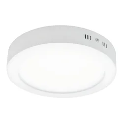 LED Plafonjera 24W Dnevno Svetlo LNP-O24B/W