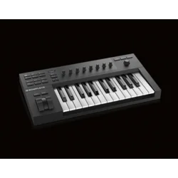 NI KOMPLETE KONTROL A25