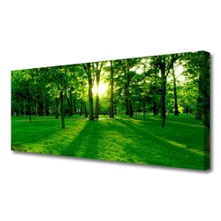 tulup.si Slika na platnu Forest park nature 125x50 cm