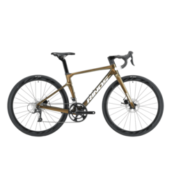 RINOS Odin3.0 Carbon cestno kolo Shimano 105 R7000 kolesarsko kolo iz ogljikovih vlaken, zlata/rjava, 50