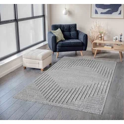 Conceptum Hypnose Tepih Faselis, 80 x 150cm, Sivi