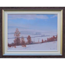 Pogled sa brda Kitka, Ulje na platnu, 40 x 50 cm