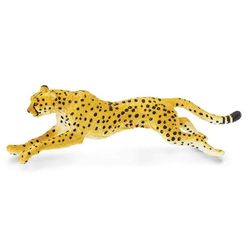 Safari Bežiaci gepard