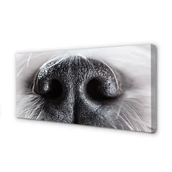 tulup.si Slika na platnu Psu nos 120x60 cm