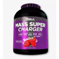 Tesla Mass Super Charge, 4540 gr