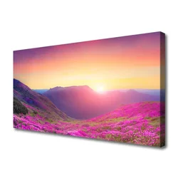 tulup.si Slika na platnu Sun mountain travnik narava 100x50 cm